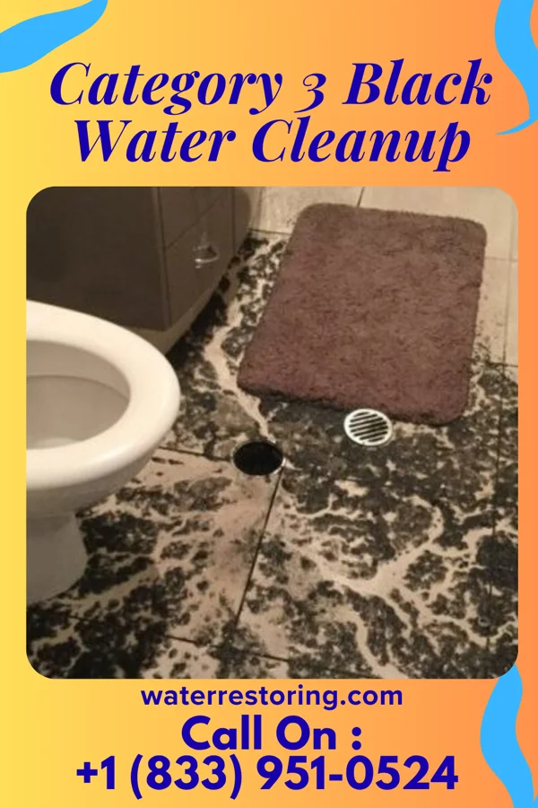 Category 3 Black Water Cleanup in Oneida, NY