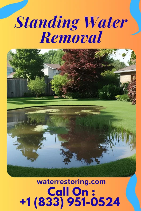 Standing Water Removal in Oneida, NY
